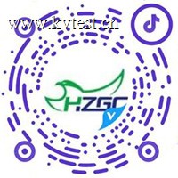 关注抖音